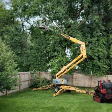 Best Aeration Services  in Clifton Heights, PA