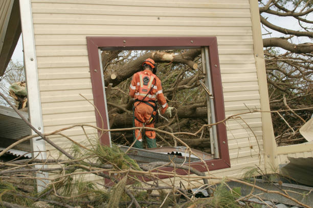 How Our Tree Care Process Works  in  Clifton Heights, PA